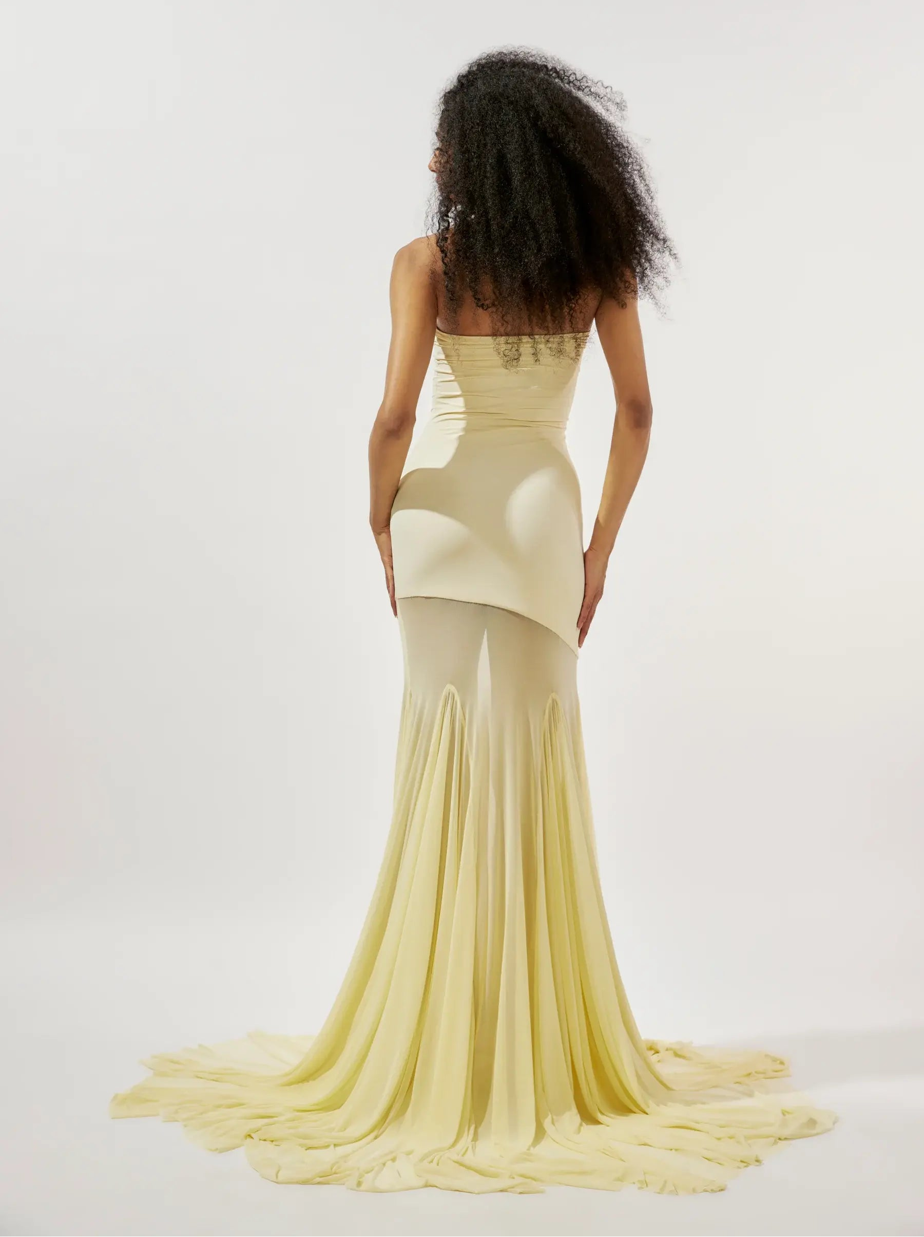 Back of the Deme by Gabriella Dahlia Gown Hire. A strapless bodice, with a mesh panelled skirt. Fast dispatch and delivery, Australia-wide or local Perth Cottesloe pick-up.