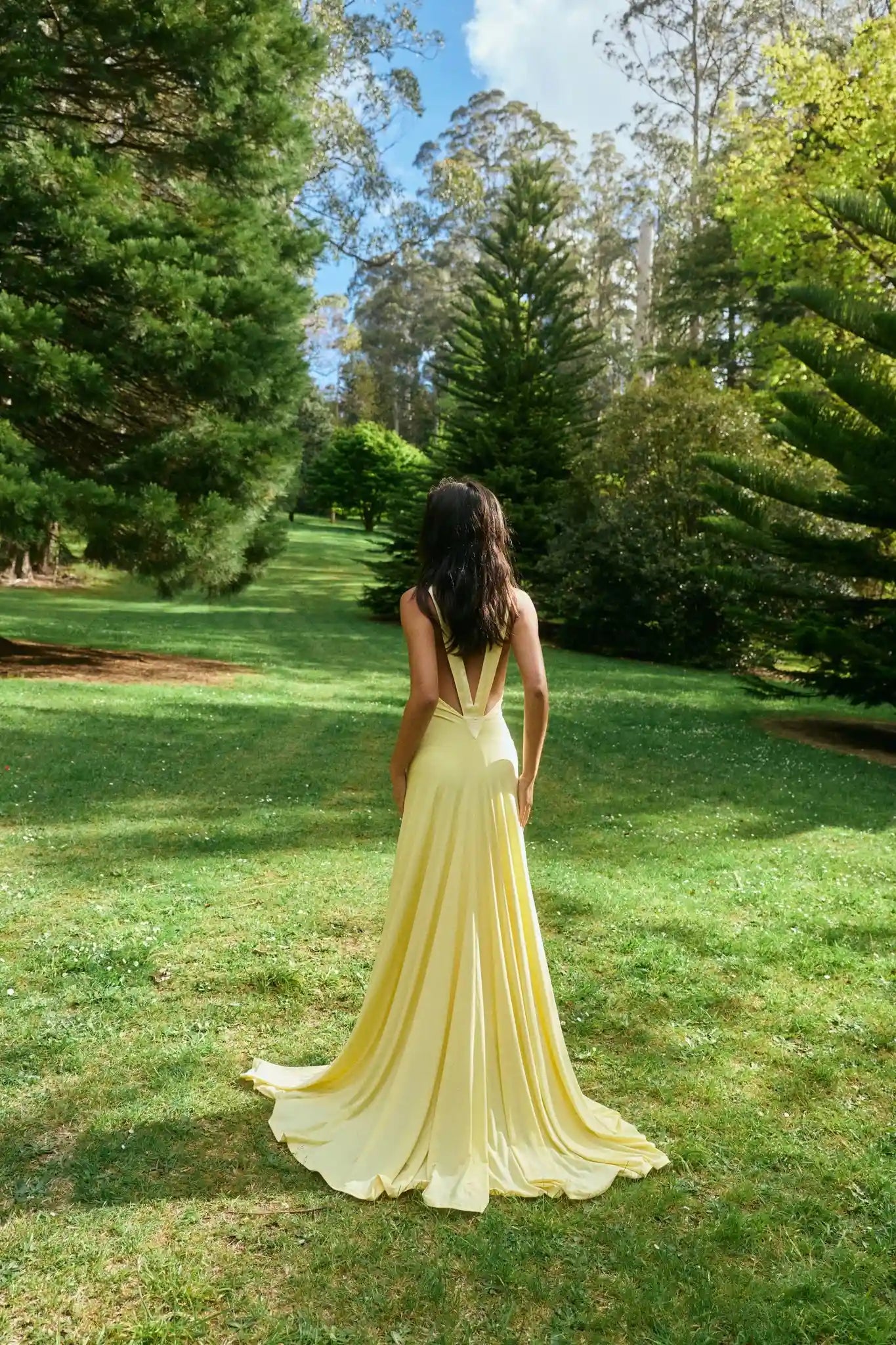 Garden image of the back of Ance Gria Rosa Gown Hire in yellow Lemon. Sydney & Melbourne Dress and Gown Hires, available with Fast Shipping and Returns Made Easy. Book now.