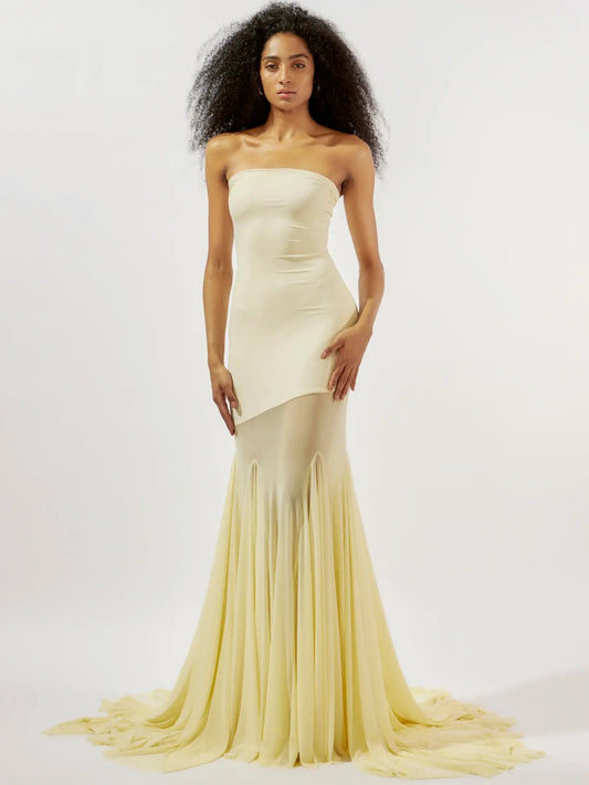 Hire Deme by Gabriella Dahlia Gown. Tubed bodice, with mesh panelled skirt. Perfect for formals, long lunches, and wedding guests. Perth local pick-up or fast shipping to Sydney, Brisbane & the Gold Coast. Rent now!